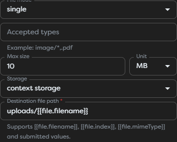 Web Form File settings for mode, accepted types, size, storage, and destination path