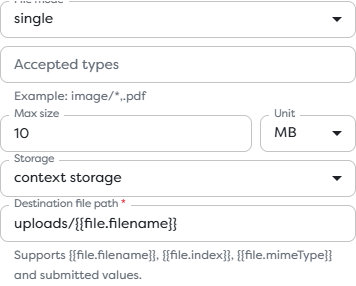 Web Form File settings for mode, accepted types, size, storage, and destination path